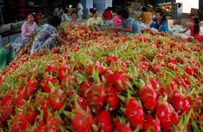 Ấn Độ chính thức bỏ lệnh cấm nhập khẩu 6 mặt hàng nông sản của Việt Nam
