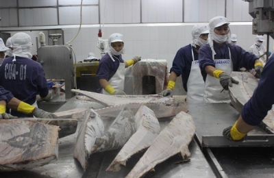 Cá ngừ xuất khẩu cần tăng lượng chế biến